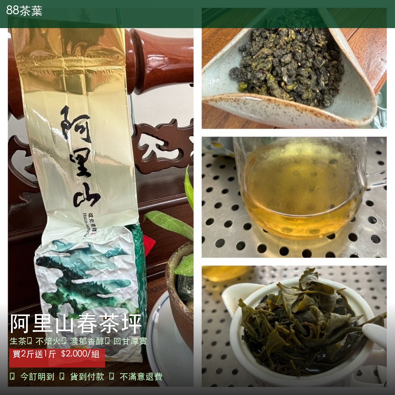 阿里山春茶